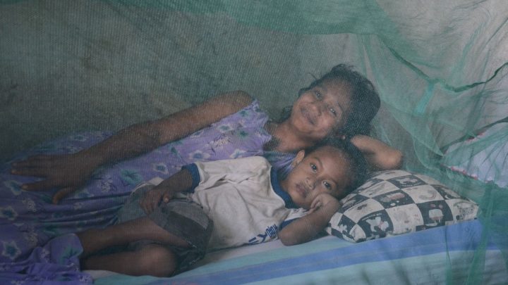 Timor-Leste certified malaria-free by WHO