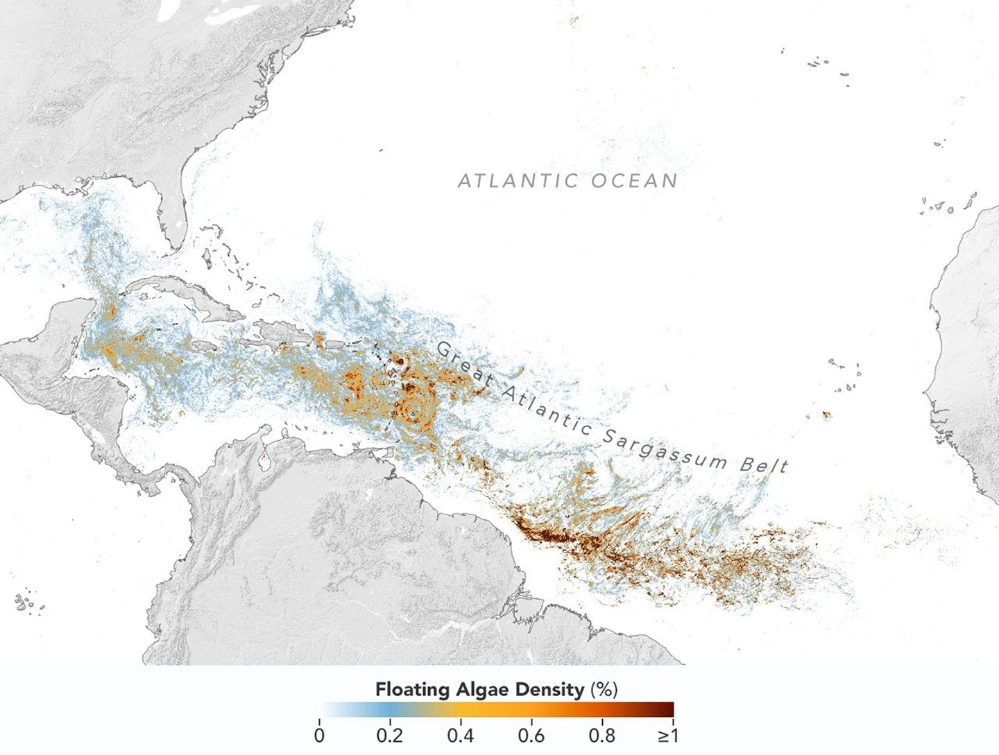 Sizing Up the Sargassum Belt
