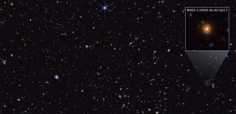 NASA Webb Explores Family Tree of Newly Discovered Distant Objects