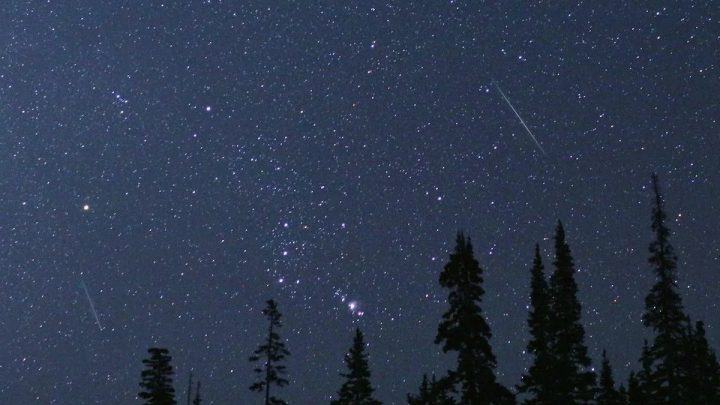 Perseids Meteor Shower