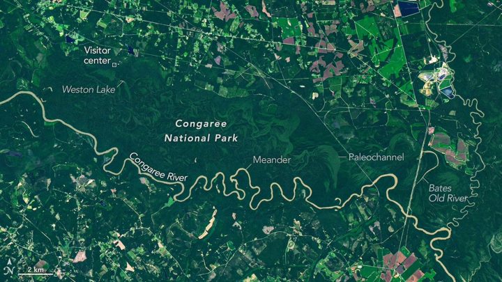 The Forested Floodplains of Congaree National Park