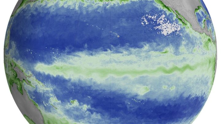 El Niño Alters Marine Life in the Pacific
