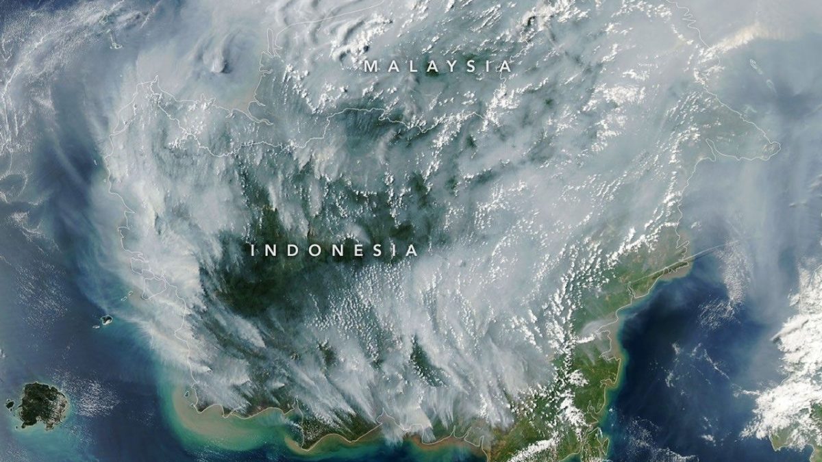 Peatland Fires Darken Skies in Indonesia