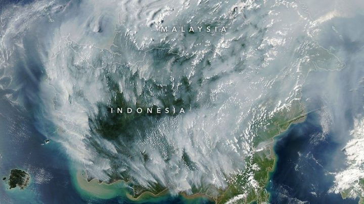 Peatland Fires Darken Skies in Indonesia