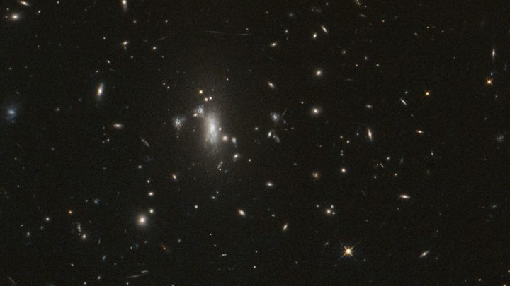 NASA’s Hubble Telescope Reaches Milestone, Looks for Elusive Supernova