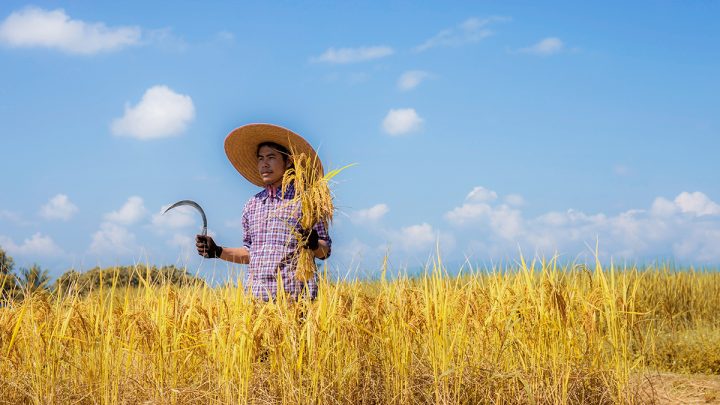 WTO members review agriculture negotiation history, discuss ways forward