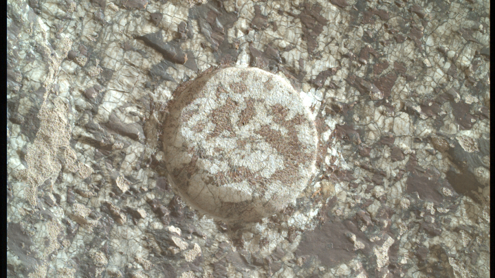 Mars Has Its Charmes