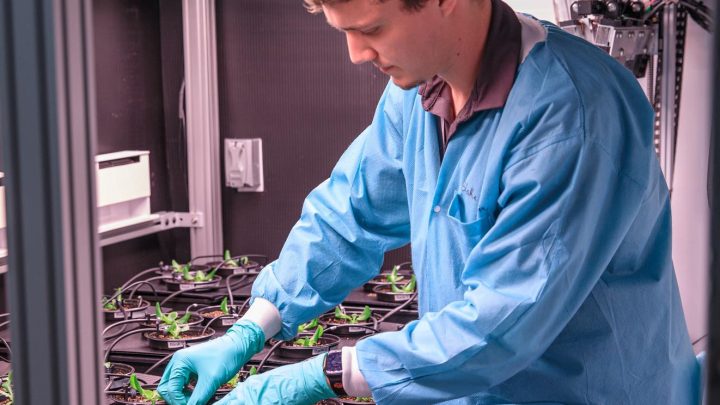 NASA, International Partners Advance Work on Space Crops