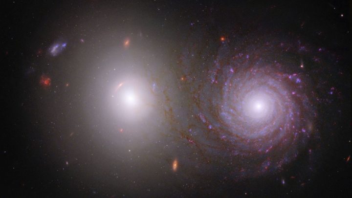 Help Overlap Zoo Reveal Cosmic Dust