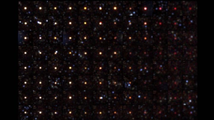 NASA’s SPHEREx Telescope Sees Menagerie of Brown Dwarfs