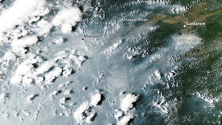 Fires Arrive in the Amazon Rainforest