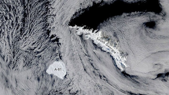 A-81 Reaches South Georgia
