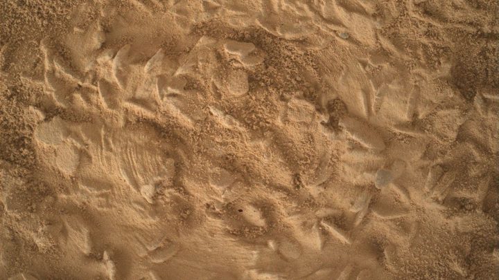 Curiosity Blog, Sols 5043-5049: Preparing to Drill at ‘Nazca’